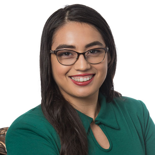 Professionals The Fuentes Firm, P.C.