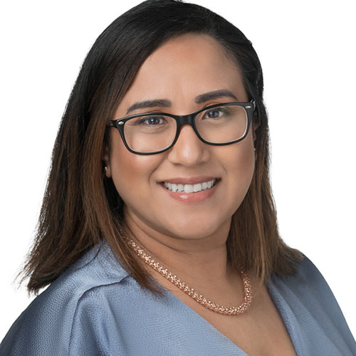 Professionals The Fuentes Firm, P.C.